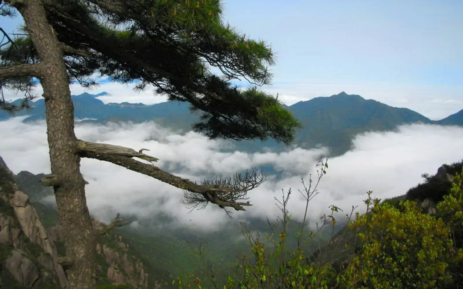 Mount Sanqingshan National Park