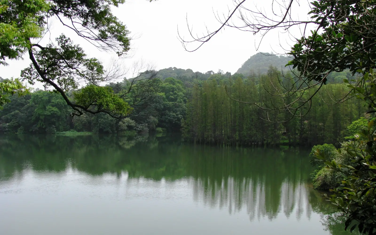 Sanshui Lotus Theme Park