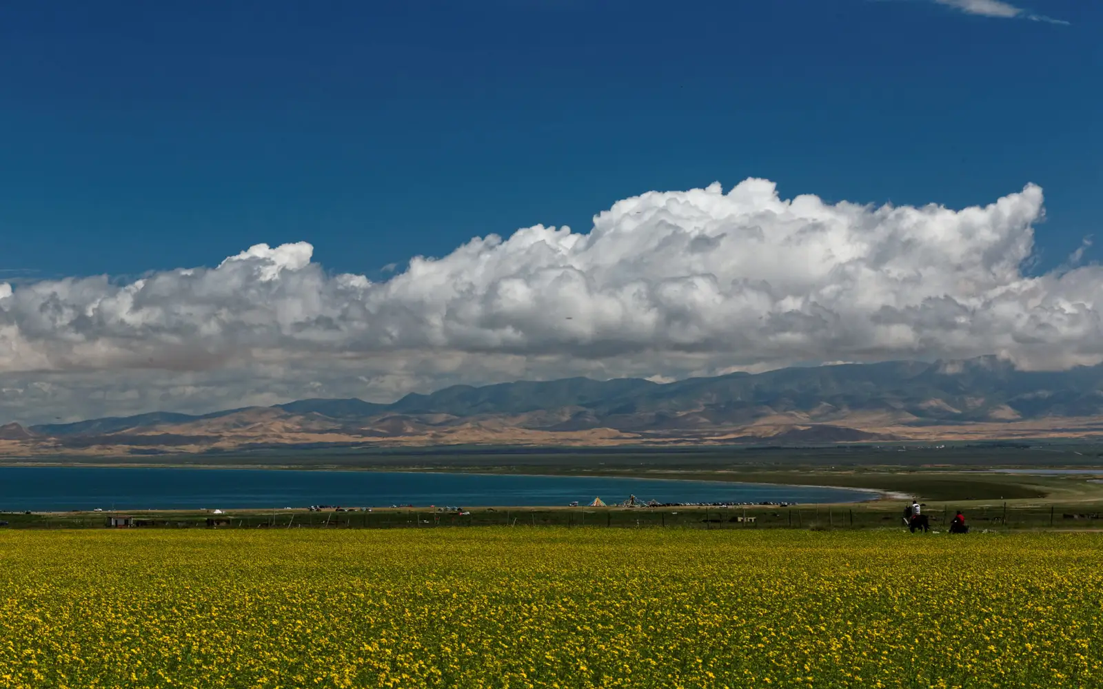 Qinghai Lake
