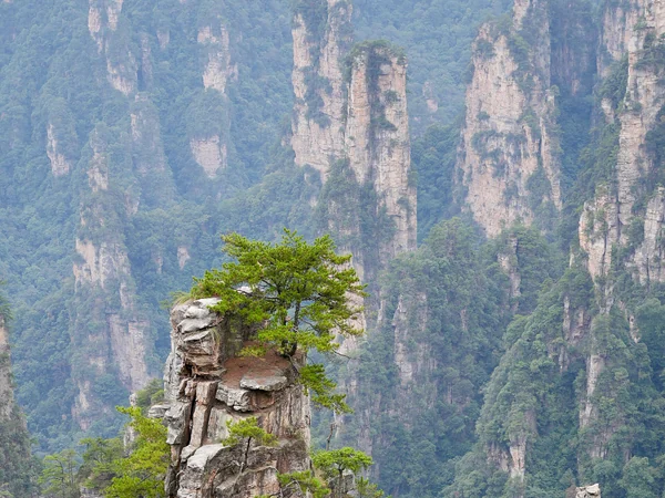 Sandstone pillars in Zhangjiajie National Forest Park