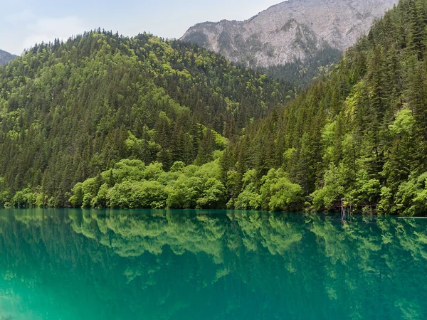 Autumn forest reflected in a lake at Jiuzhaigou, Sichuan
