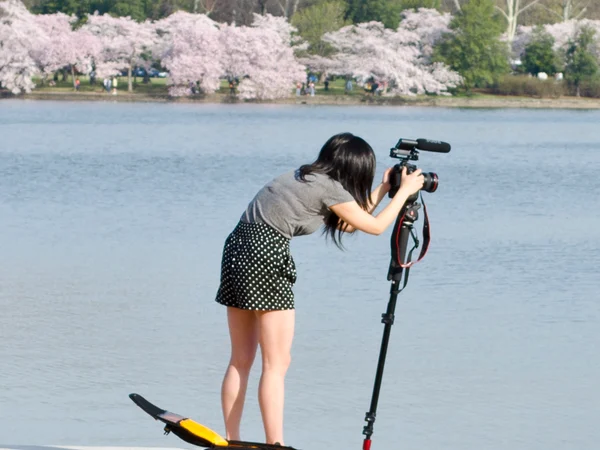 Photographer composing spring blossoms in a rural landscape Photographer composing spring blossoms in a rural landscape