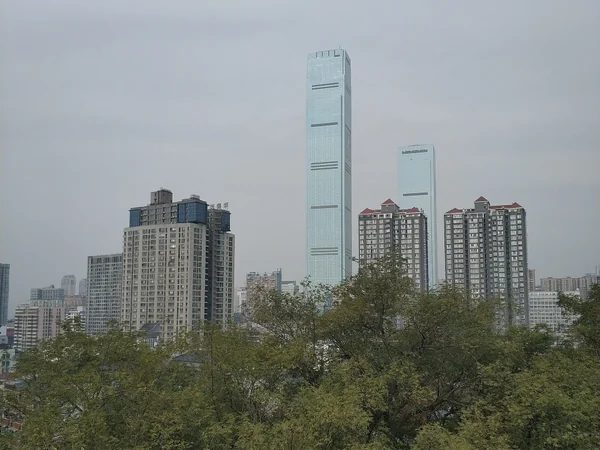 Changsha IFS Tower T1 and its companion tower