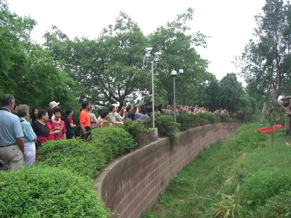 Visitors walking through a green park in Chengdu