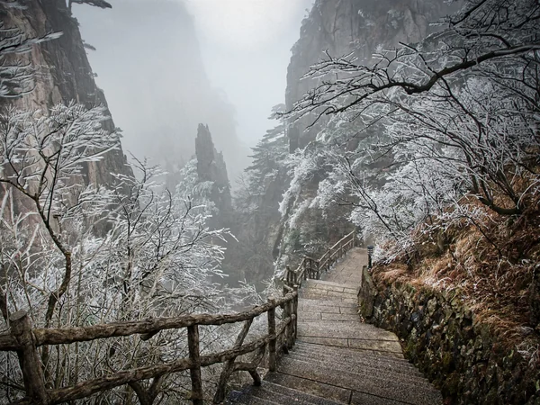 Ice-covered trees on Huangshan illustrating winter weather in China