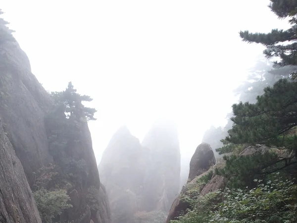 Granite mountain peaks and pine trees at Mount Huangshan in China