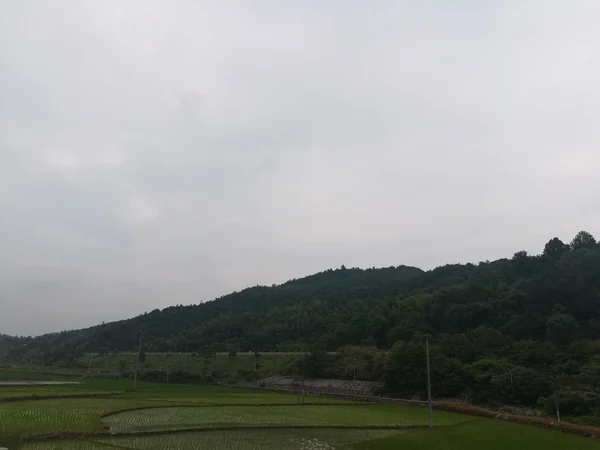 Expressway crossing a green landscape in Hunan, China