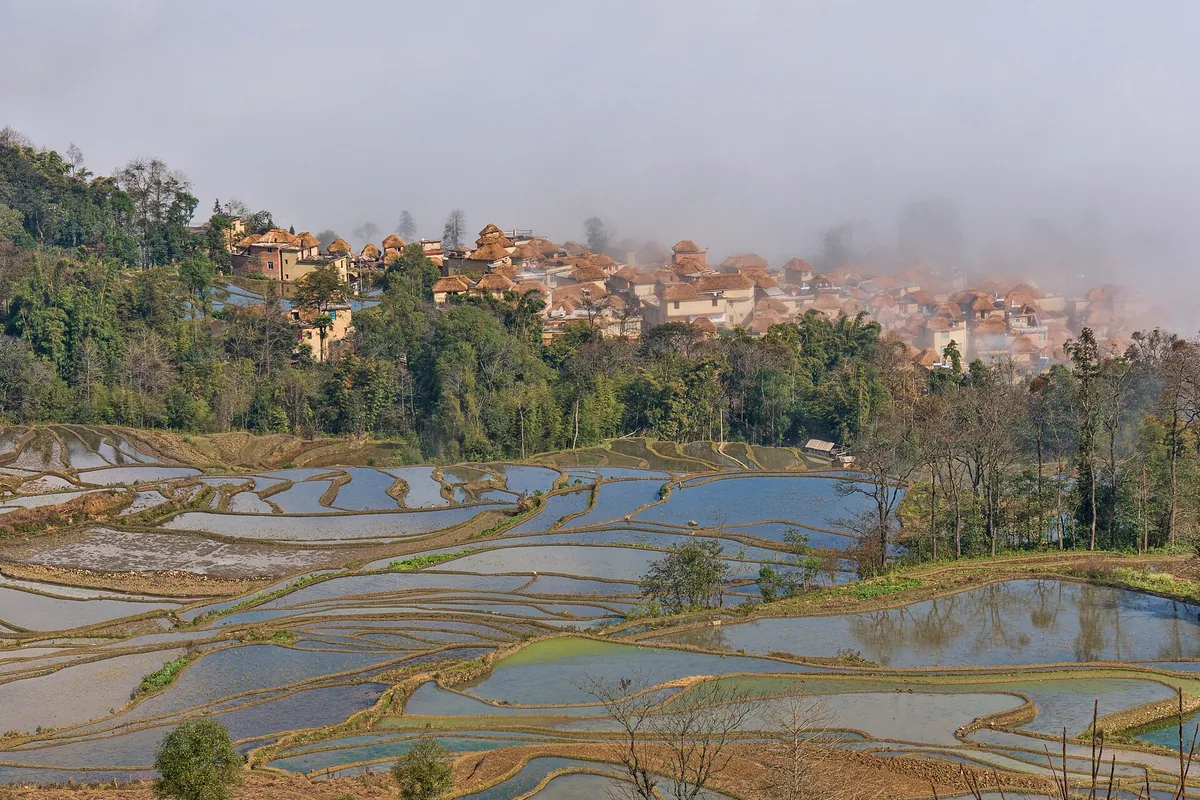 7 Days Yuanyang Rice Terraces Tour — Yuanyang Rice Terraces