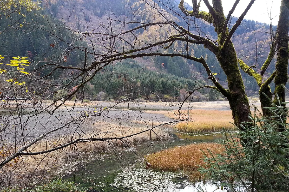 13 Days Trip to Jiuzhaigou and Mt. Huangshan — Jiuzhaigou National Park