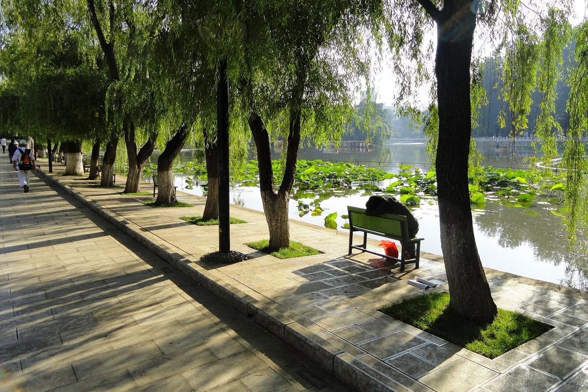 10 Days Classic Yunnan Tour with Meili Snow Mountain — Kunming Green Lake