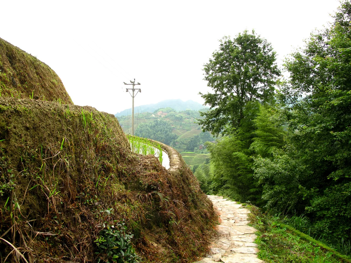 Longji Rice Terraces and mountain village near Guilin