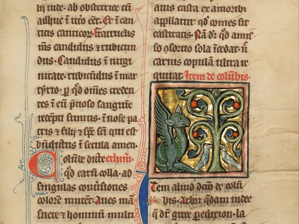 Dragon depicted in a medieval European illuminated manuscript Dragon depicted in a medieval European illuminated manuscript