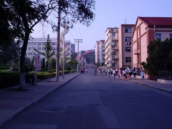 The main campus road at Liaoning Normal University The main campus road at Liaoning Normal University