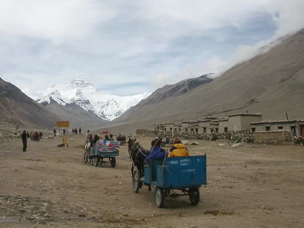 Visitor transport operating in the Tibet Everest scenic area