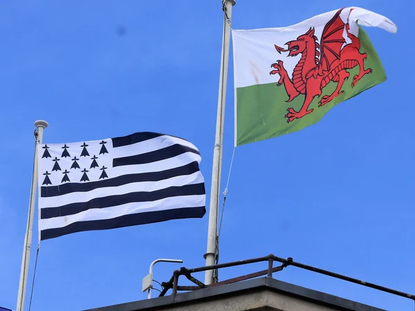 The red dragon flag of Wales flying on its green and white field The red dragon flag of Wales flying on its green and white field