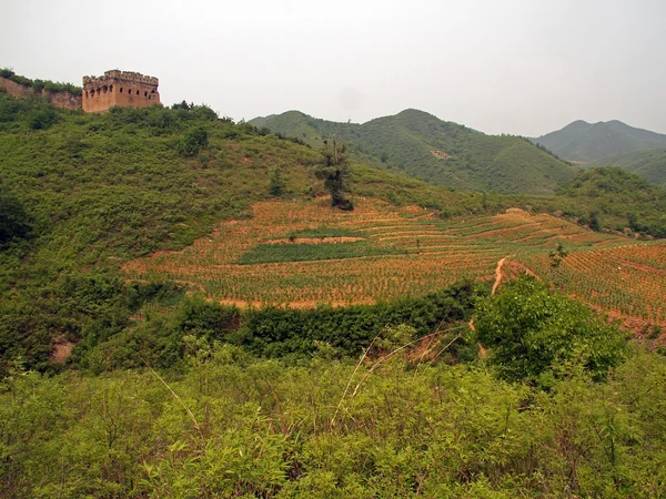 Historic tower on the Gubeikou Great Wall ridge