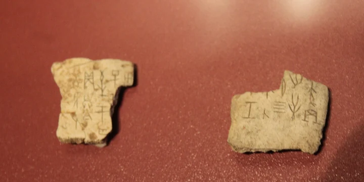 Shang dynasty oracle bones with early Chinese writing