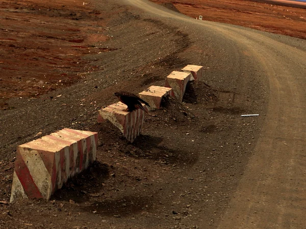 Road crossing the eastern Hoh Xil high plateau Road crossing the eastern Hoh Xil high plateau