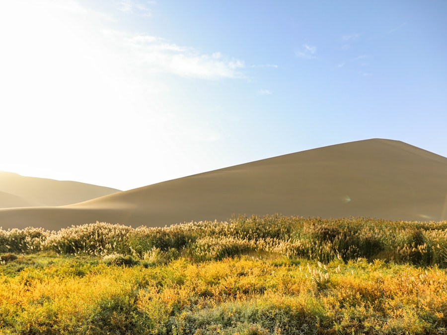 How to Plan a Silk Road Tour?