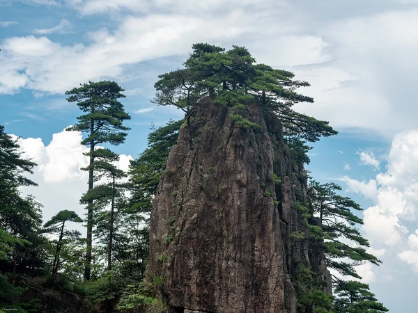 Granite peaks and pines at Mount Huangshan