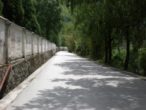 A road lined with trees in Tiger Leaping Gorge