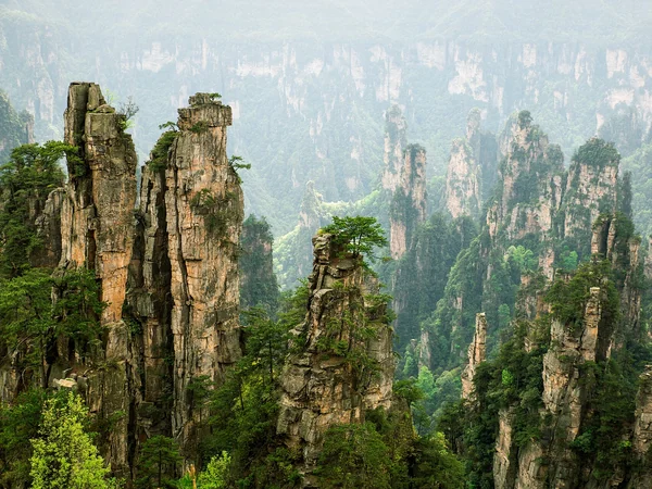 Sandstone pillars in Zhangjiajie, northwestern Hunan Province Sandstone pillars in Zhangjiajie, northwestern Hunan Province