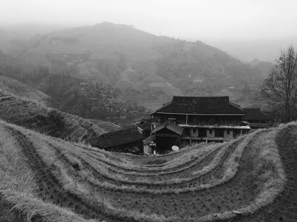 Layered Longji rice terraces viewed from a high public lookout Layered Longji rice terraces viewed from a high public lookout