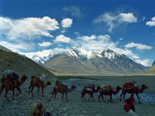 Pyramidal summit of K2 rising above the Karakoram