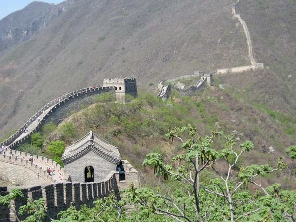 Mutianyu Great Wall crossing a wooded mountain ridge
