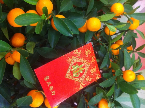 Red envelopes traditionally exchanged at Chinese New Year