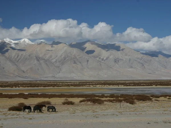 Gar Tsangpo plateau landscape near Ngari Gunsa Airport Gar Tsangpo plateau landscape near Ngari Gunsa Airport