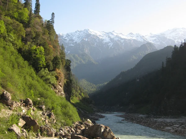 Forested Nyingchi valley on the G318 corridor Forested Nyingchi valley on the G318 corridor