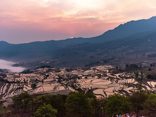 Reflected dawn light across the Yuanyang Hani rice terraces