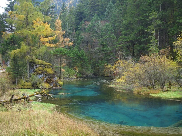 Colorful lake and forest scenery in Jiuzhaigou Valley
