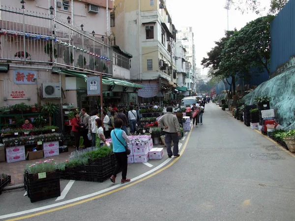 Seasonal plants displayed at a Chinese New Year flower market
