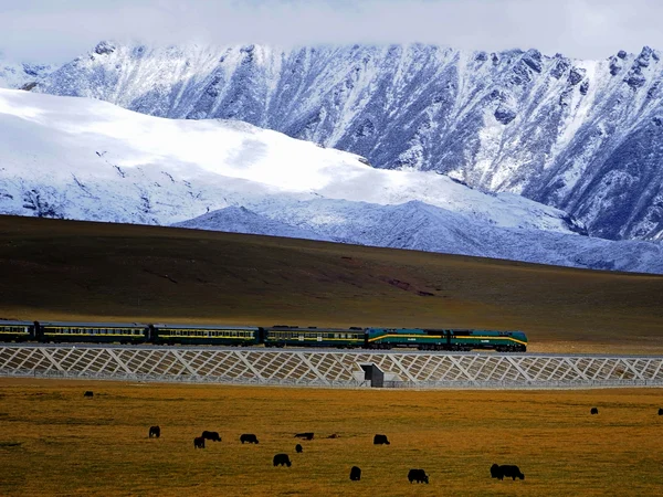 Qinghai Tibet passenger train crossing the plateau Qinghai Tibet passenger train crossing the plateau