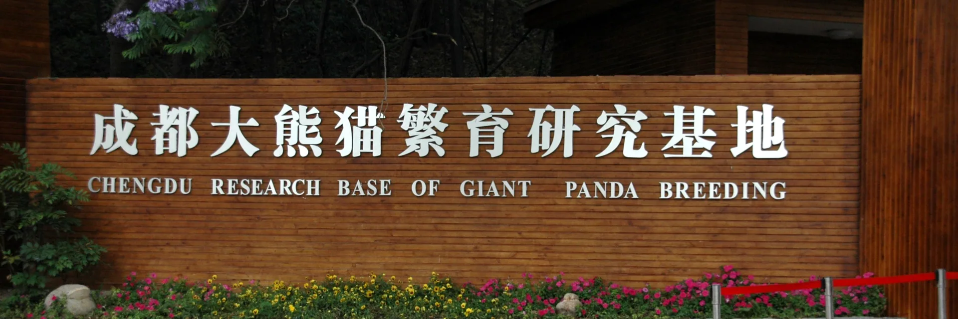 China Panda Tours China Panda Tours — China Panda Tours