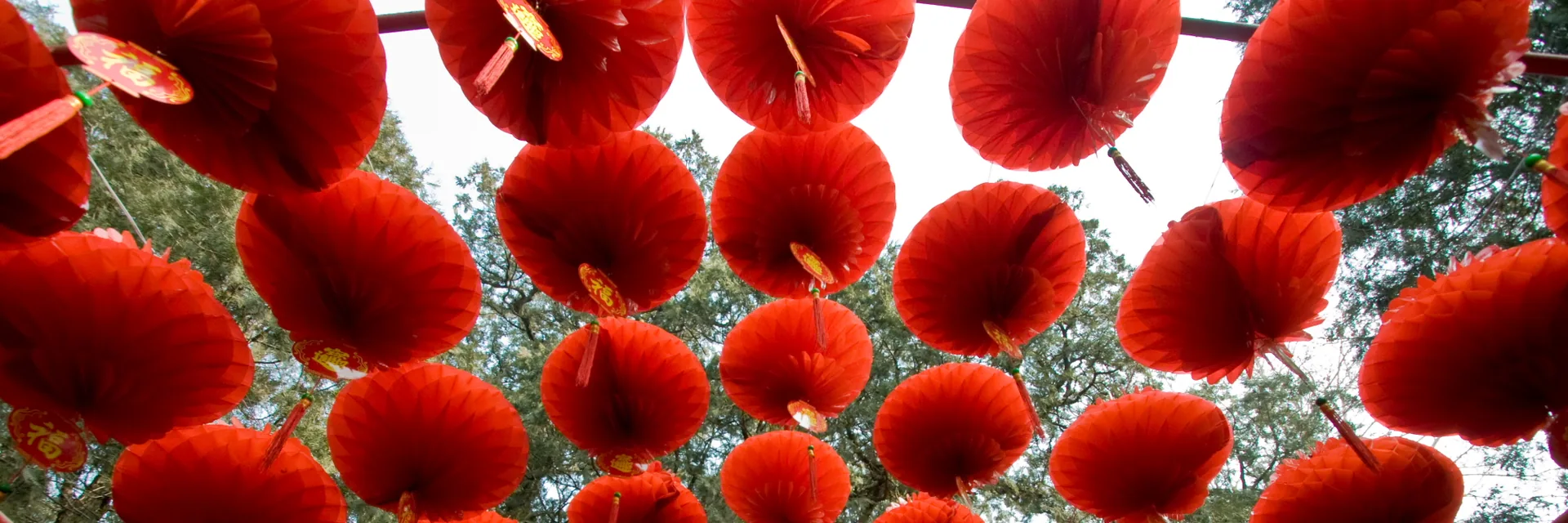 Chinese New Year Tour Chinese New Year lanterns in Beijing — Chinese New Year Tour