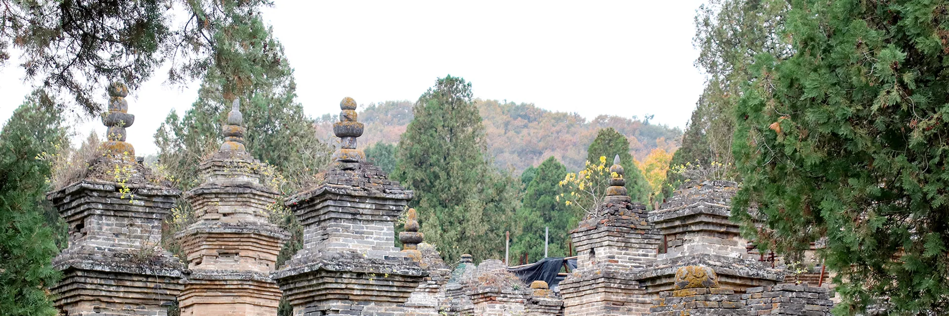 Shaolin Temple Tour Shaolin Temple Pagoda Forest — Shaolin Temple Tour