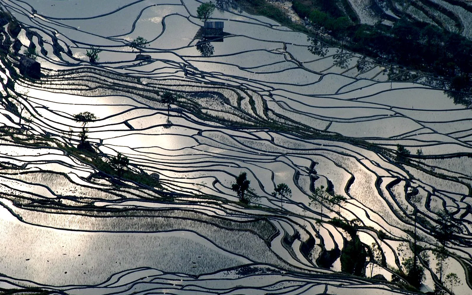 Terraced Field in Yuanyang — Day 5 of 7 Days Yuanyang Rice Terraces Tour