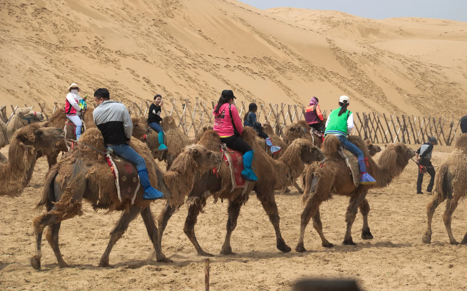 Resonant Sand Gorge — Day 3 of 6 Days Amazing Inner Mongolia Tour