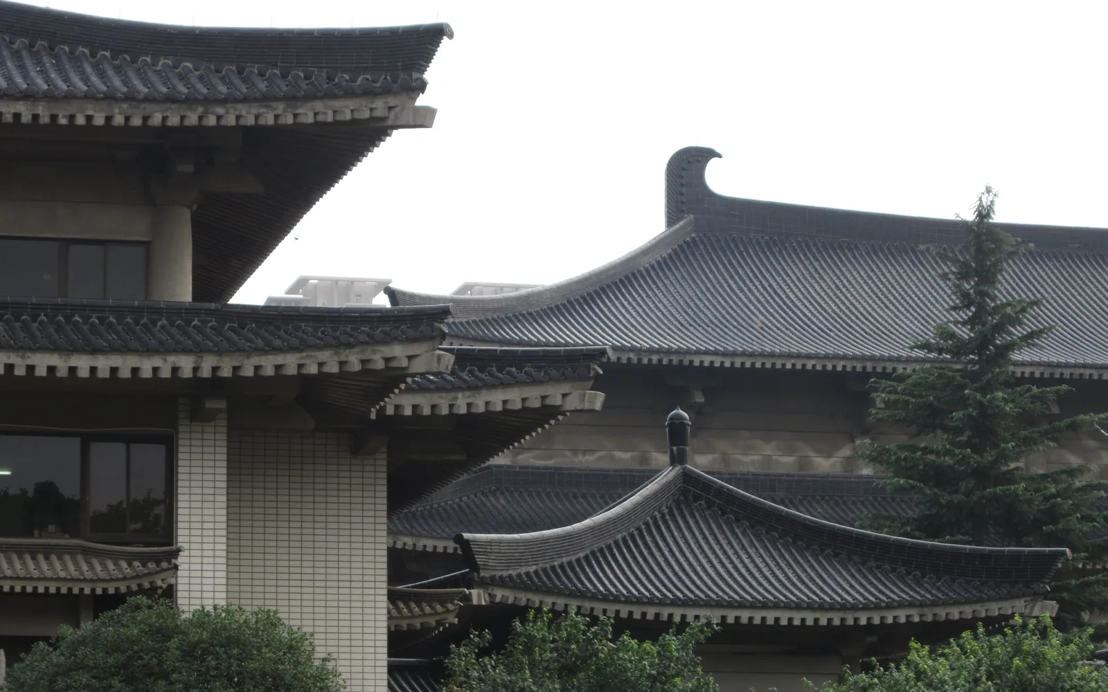 Shaanxi History Museum — Day 7 of 13 Days China Honeymoon Tour to Yangtze Cruise