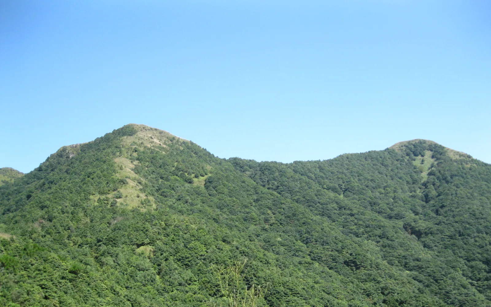 Forested mountains near Xingning — Day 6 of 7 Days Chaoshan Authentic Food Tour