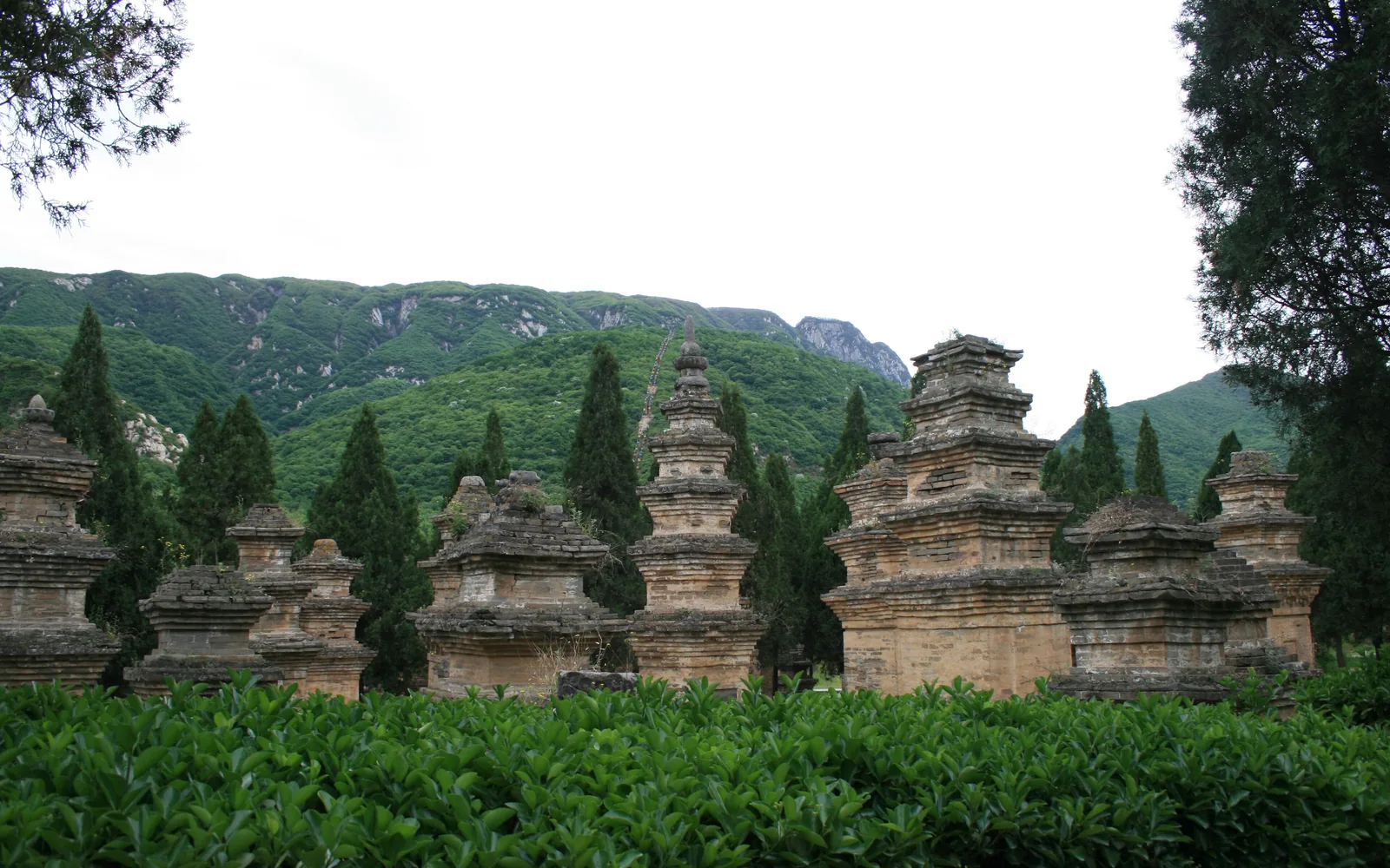 Shaolin Temple and the Pagoda Forest — Day 7 of 13 Days Explore Ancient Capitals of China