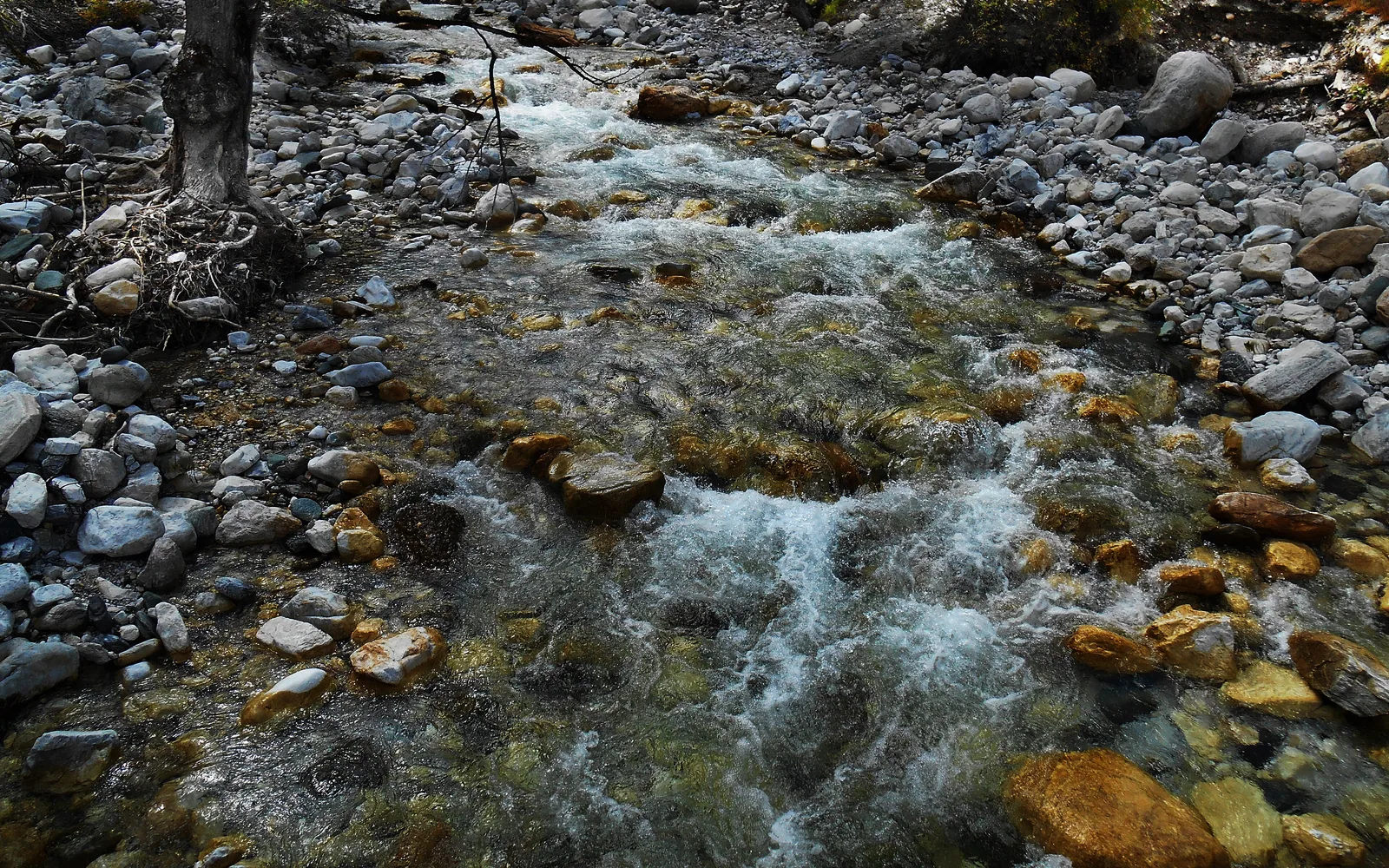 Daocheng Yading — Day 5 of 6 Days Daocheng-Yading Pure Land Tour