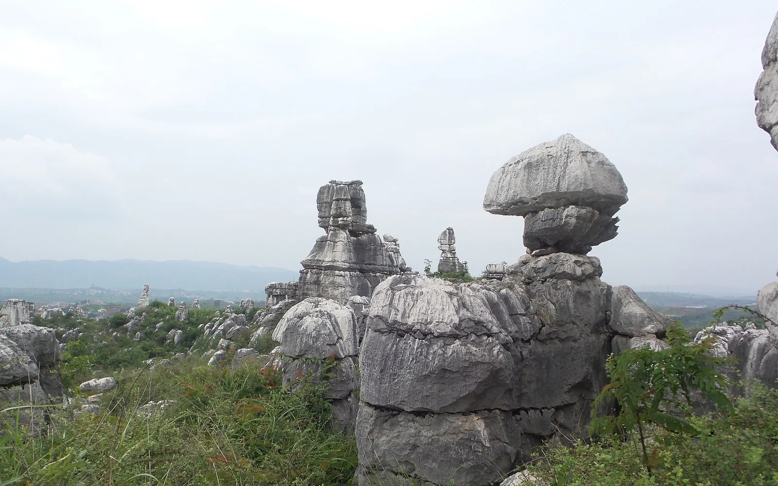 Mushroom Stone — Day 2 of 3 Days Mountain Fanjing Exploration Tour