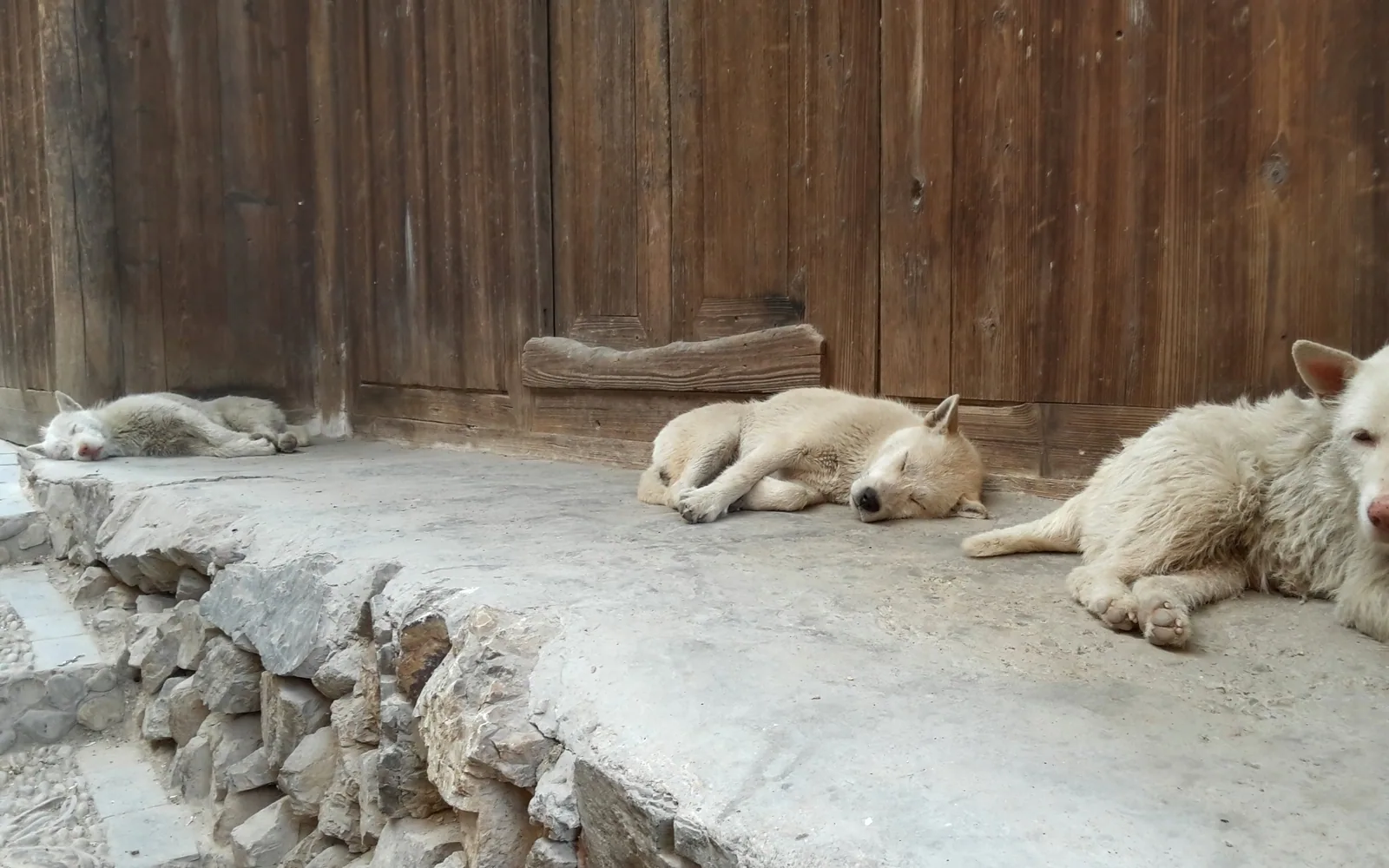 Xijiang Qianhu Miao Village — Day 9 of 10 Days Guizhou Bridge Engineering & FAST Sky Eye Tour