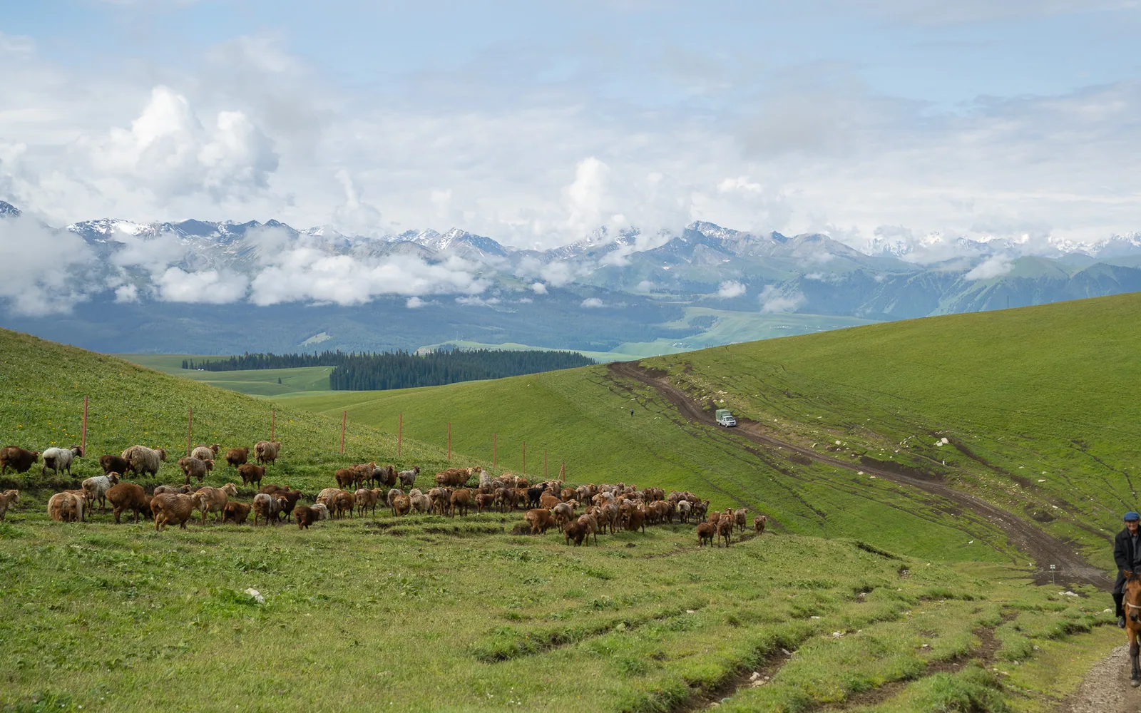 Kalajun Grassland — Day 5 of 6 Days Apricot Flower Photography Tour from Urumqi