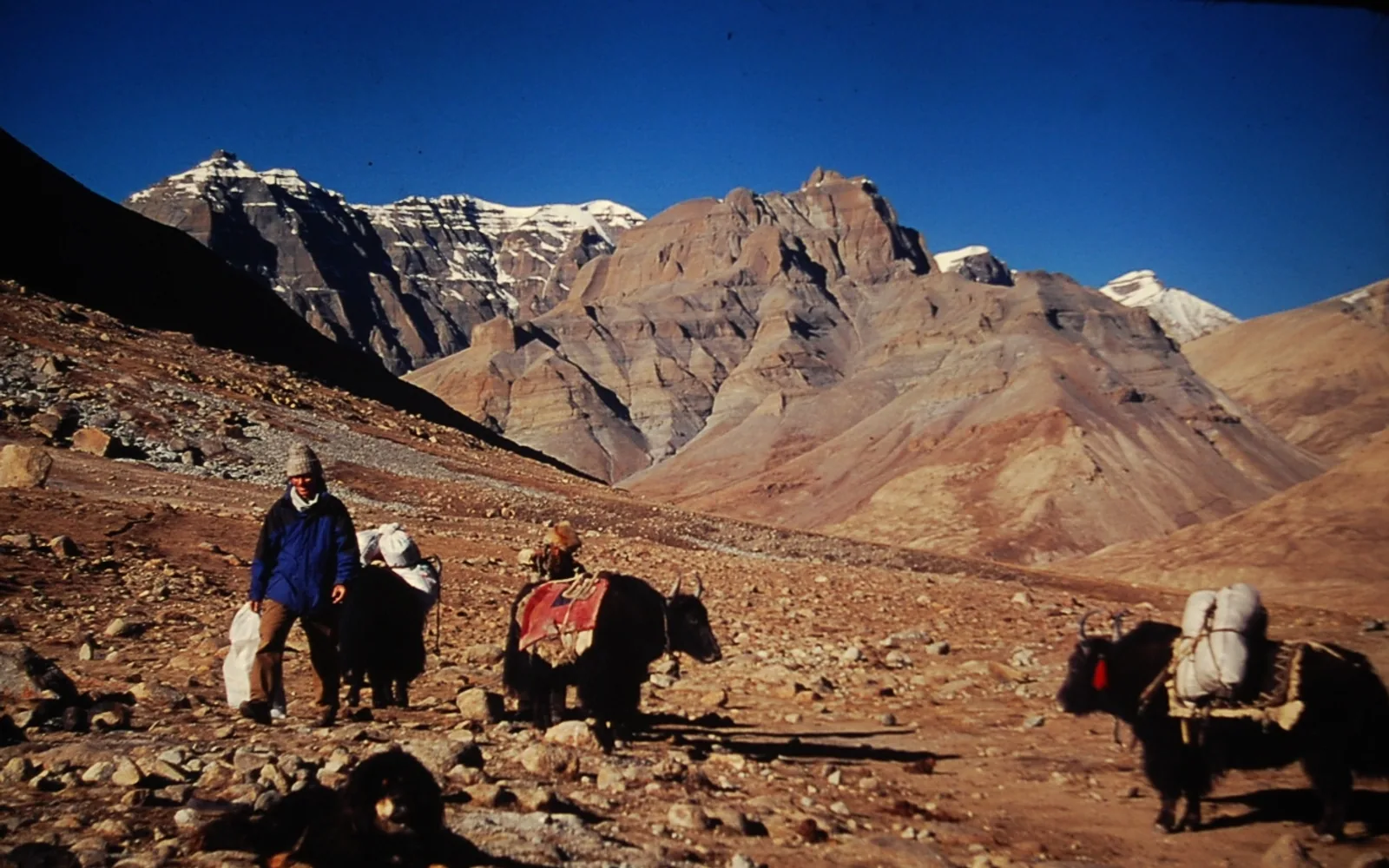 Mt. Kailash Kora — Day 8 of 15 Days Tibet Adventure Tour to Mt. Everest and Mt. Kailash