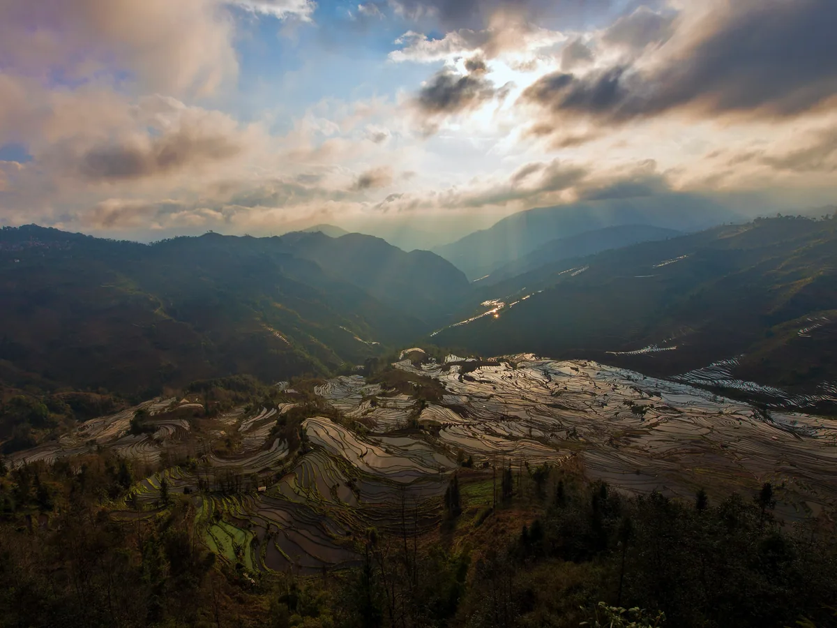 reflective rice terraces at blue hour — Yunnan Tours